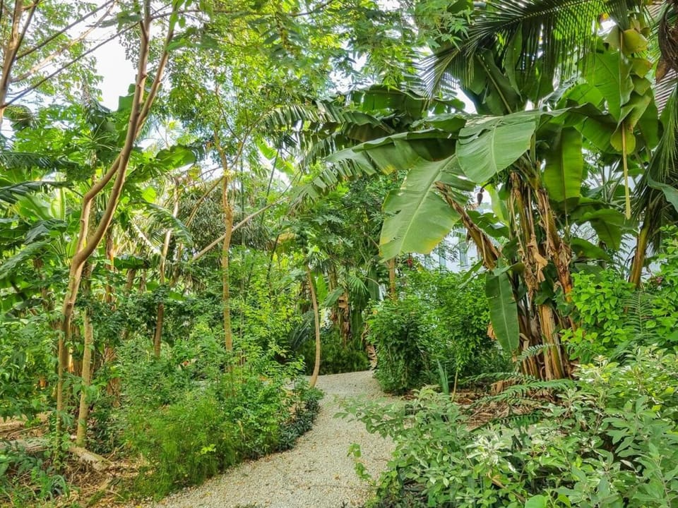 Natural landscape, Garden, Garden