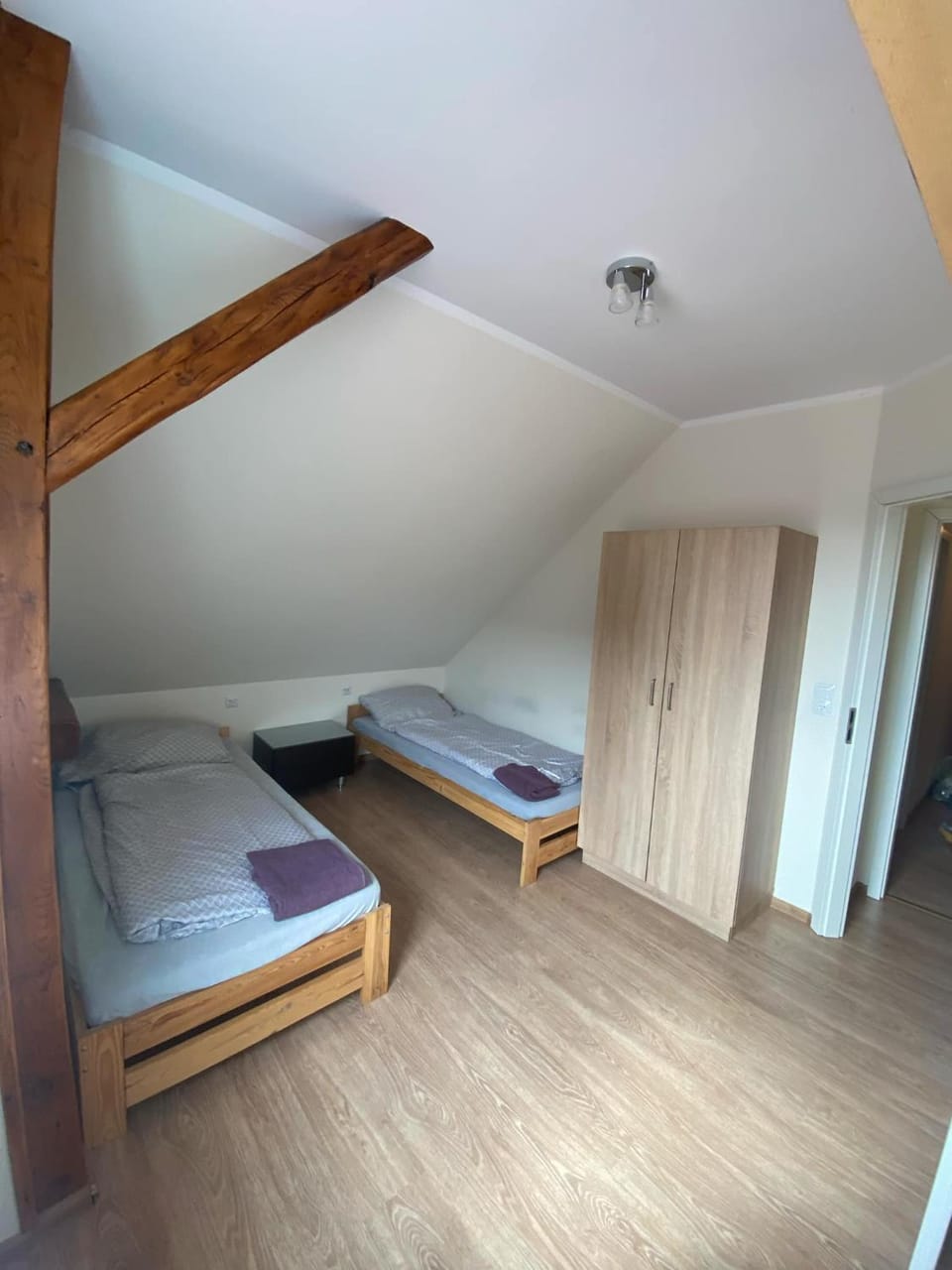 Ines Apartment in Saxony