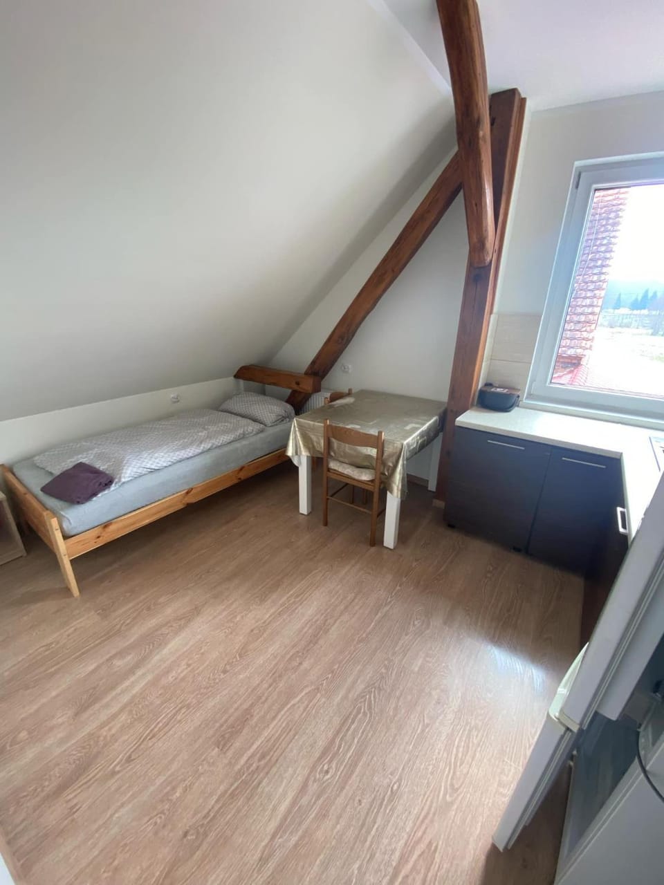 Ines Apartment in Saxony