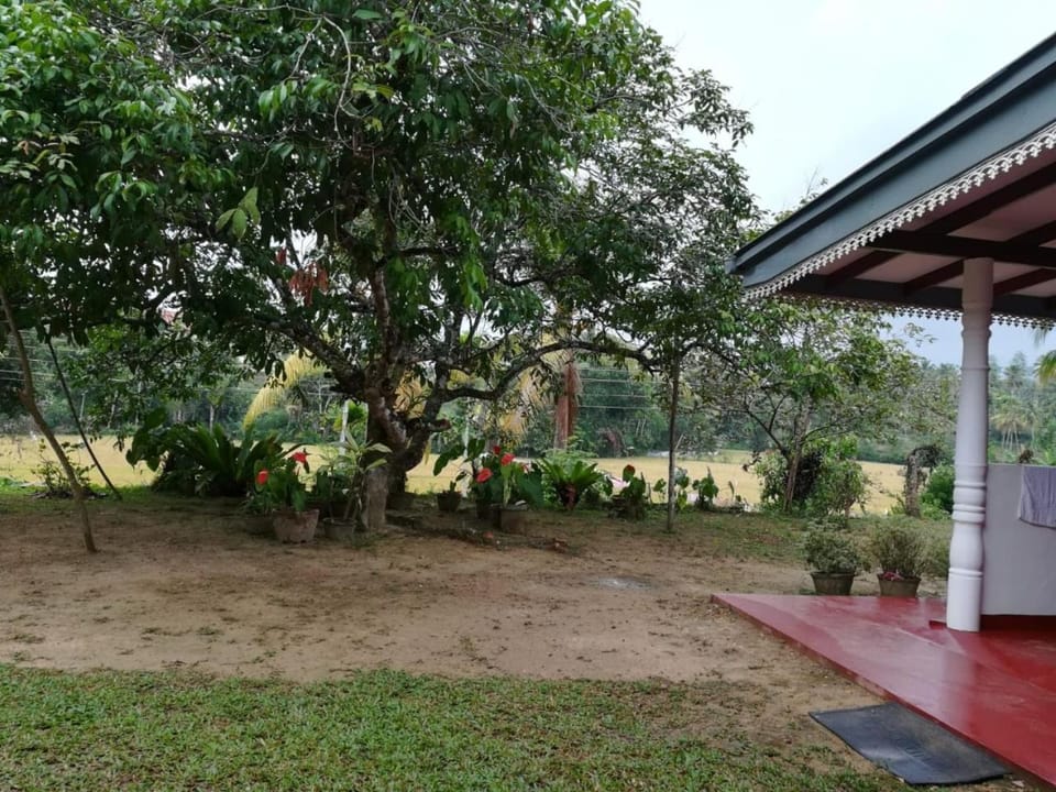 The Silent Nest - Guest House Apartment in Kamburugamuwa