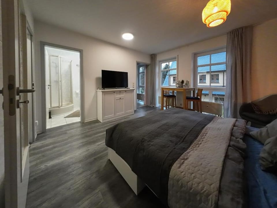 Bed, TV and multimedia, Living room, Photo of the whole room, Seating area, Bedroom