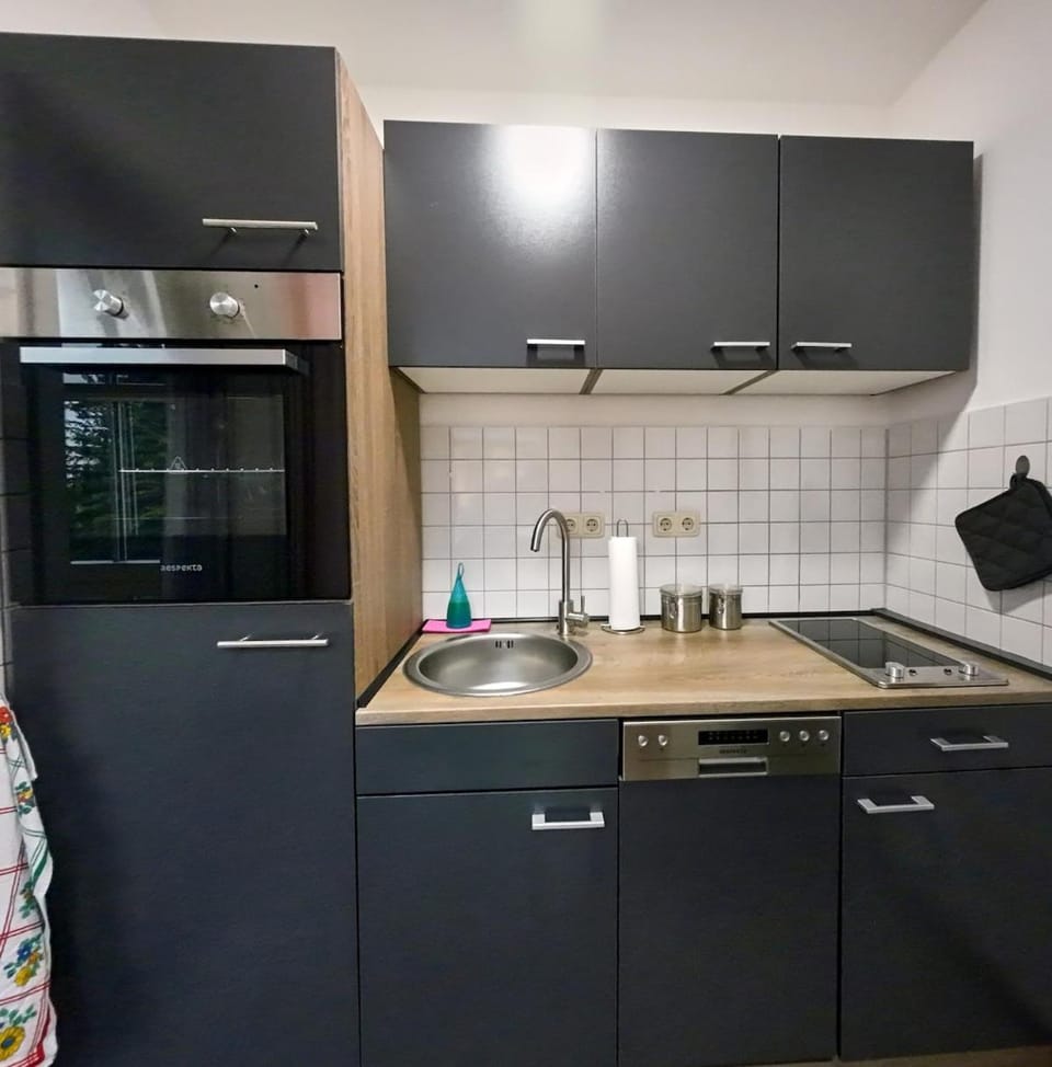 Kitchen or kitchenette, dishwasher, oven, stove