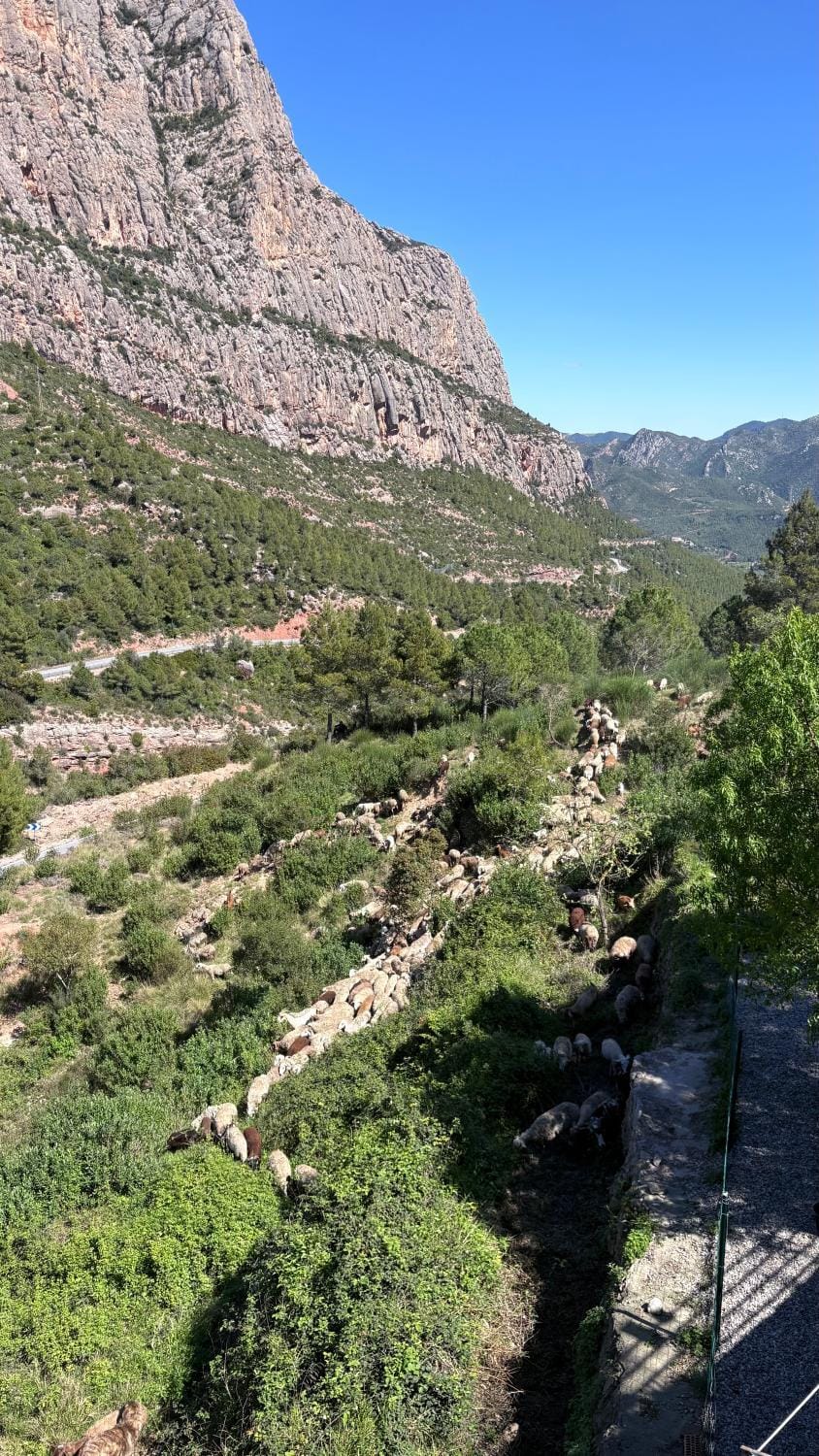 Nearby landmark, Natural landscape, Mountain view