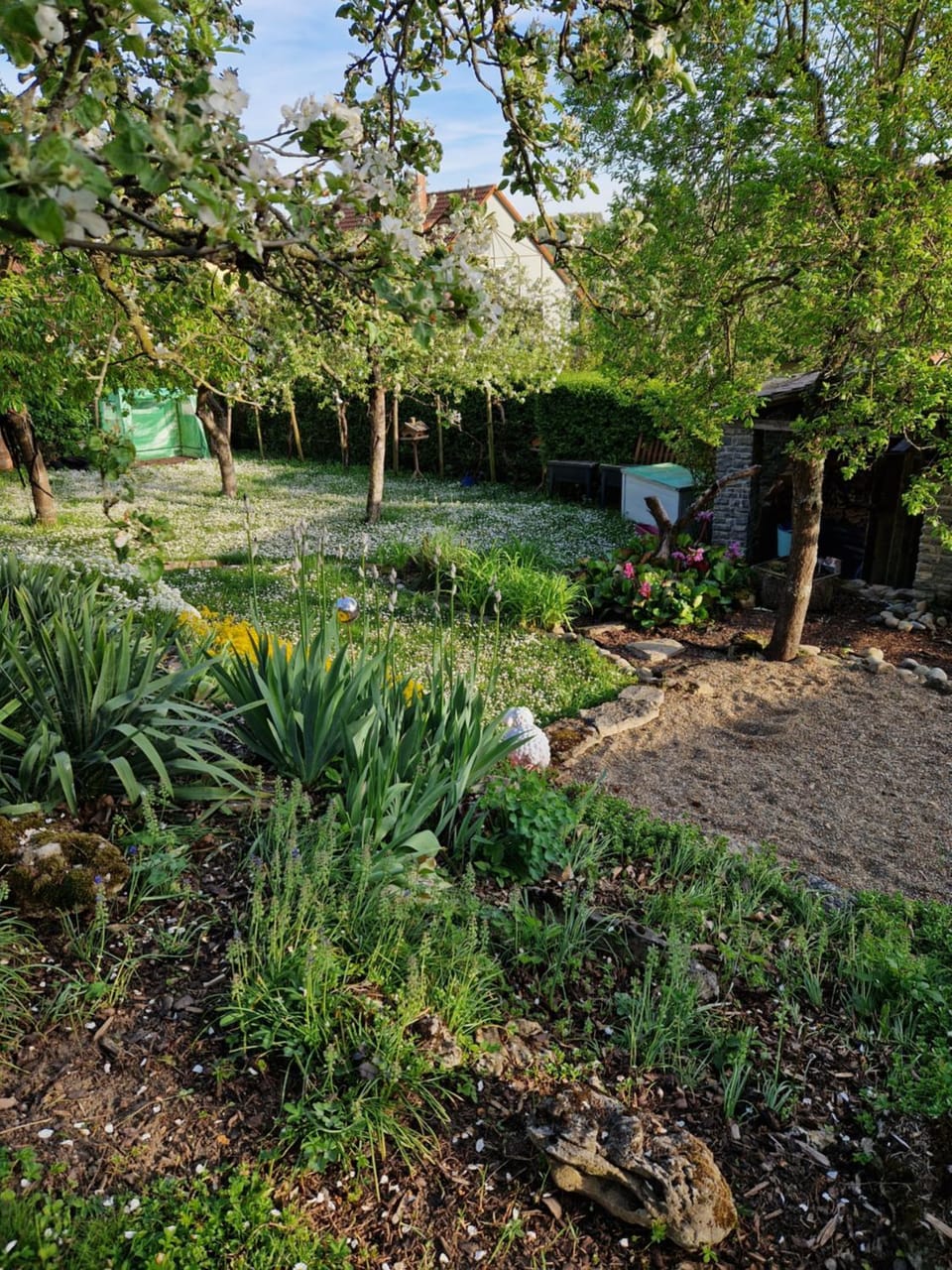 Garden view