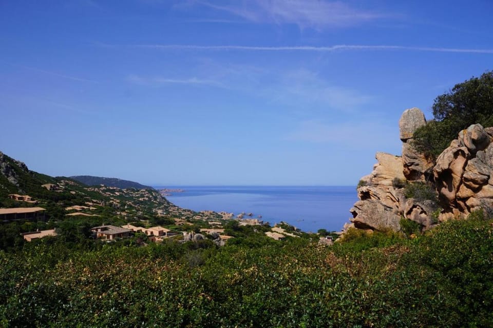 Garden, Sea view