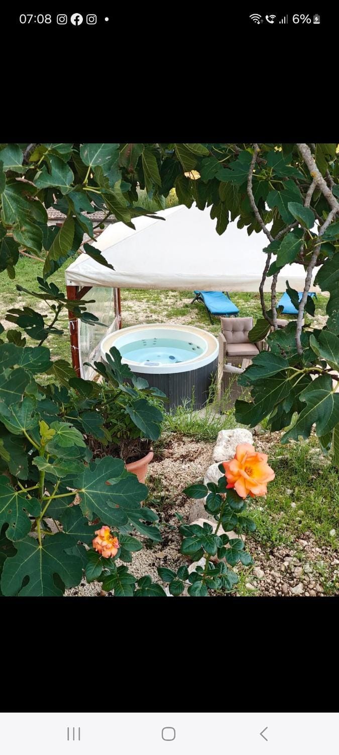 Garden, Garden view, Swimming pool