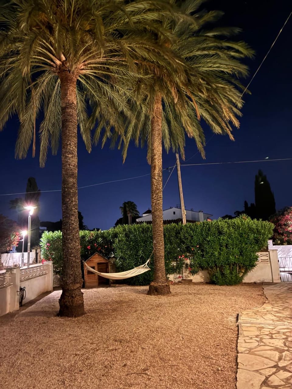 Garden view