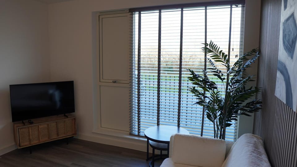 Communal lounge/ TV room, TV and multimedia, Living room, Seating area, Evening entertainment