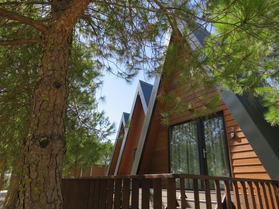 Courela do Moinho Campground/ 
RV Resort in Setubal District