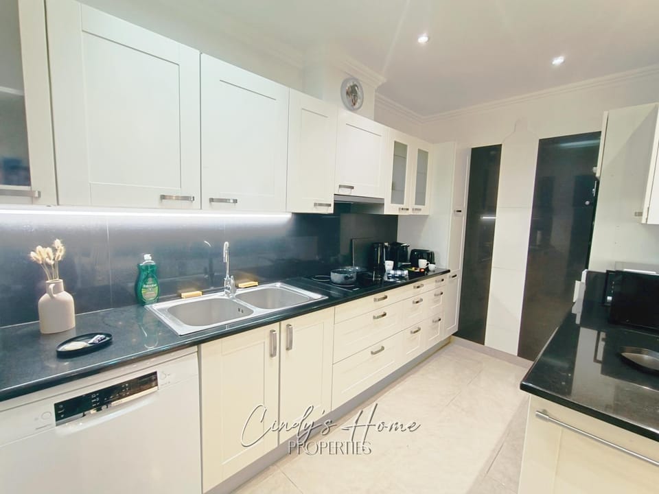 Kitchen or kitchenette, dishwasher, stove