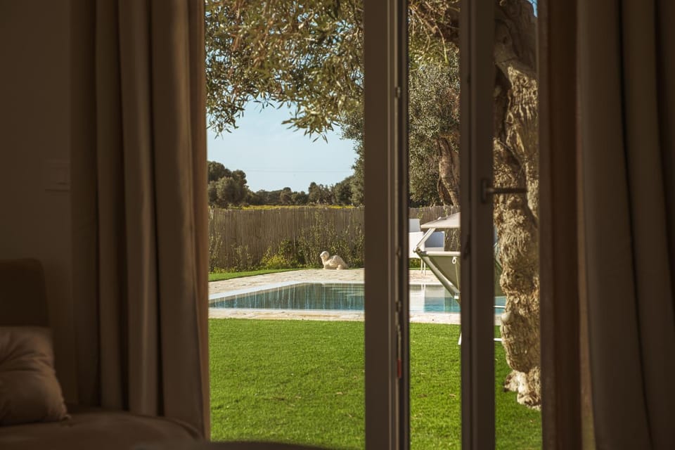 Garden, Garden view, Pool view, Swimming pool