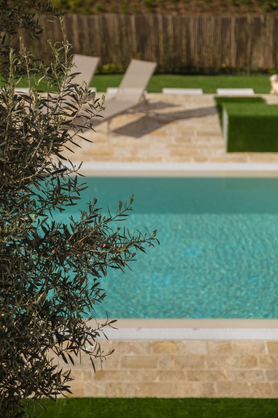 Garden, Garden view, Pool view, Swimming pool, sunbed