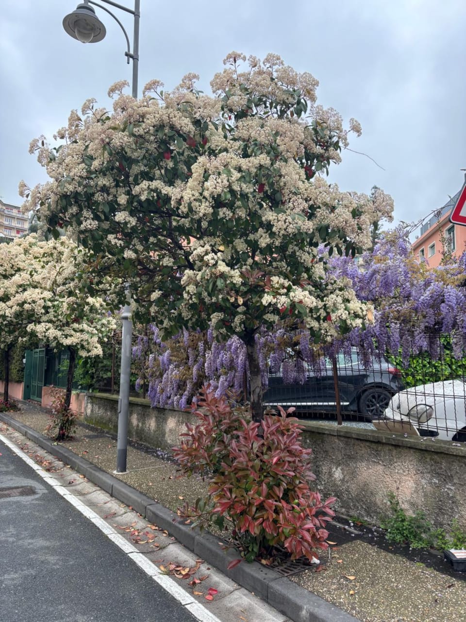 Spring, Day, Neighbourhood