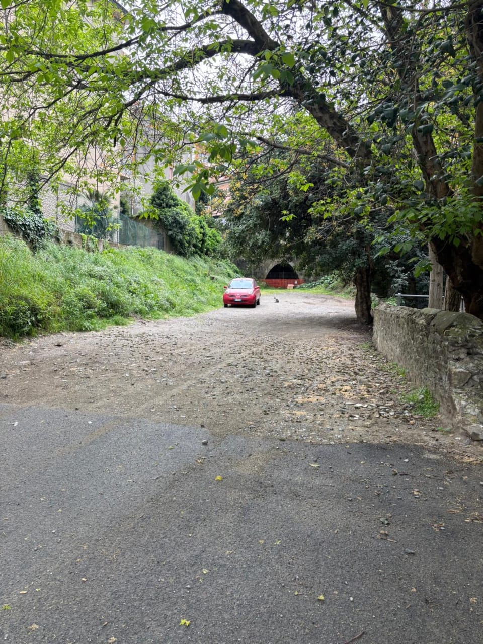 Natural landscape, Parking