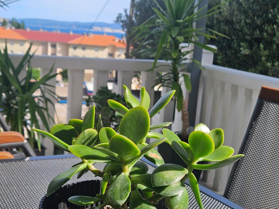 Sea view