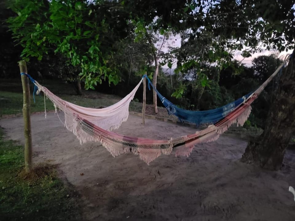 FAZENDA BOSQUE DAs PALMEIRAS Farm Stay in Itamaracá