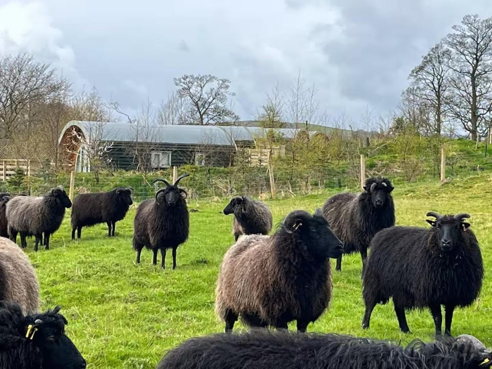 Grange Beck Farm Glamping Campground/ 
RV Resort in Craven District