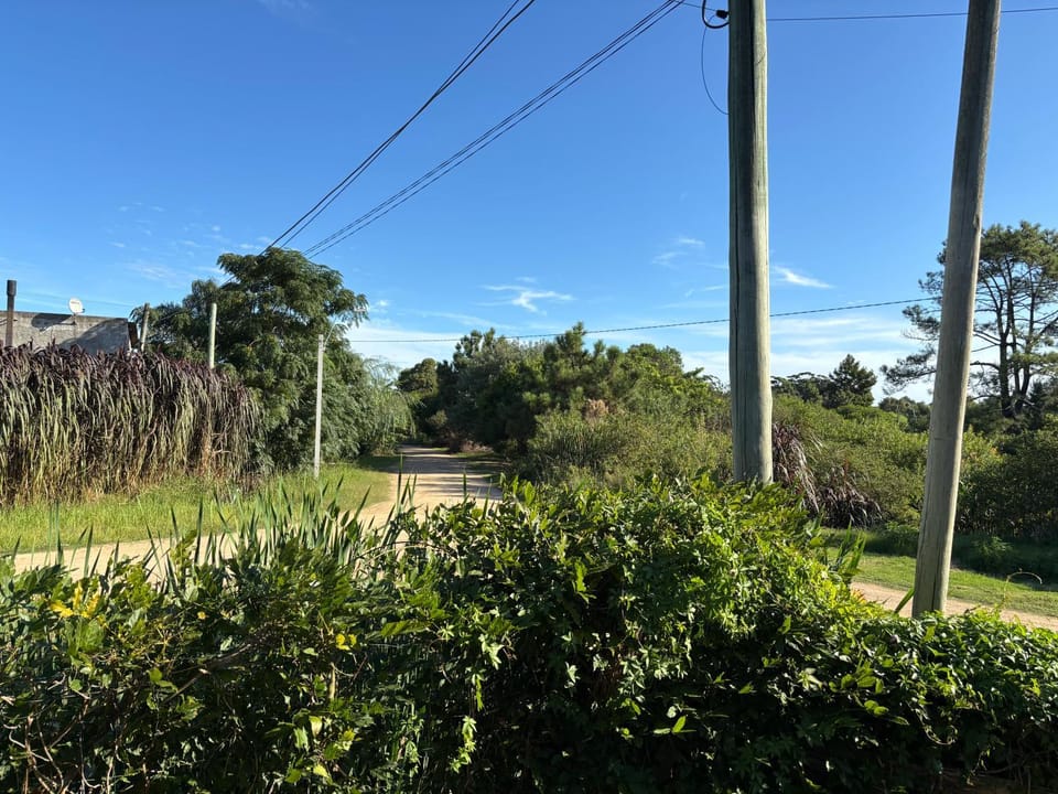 Off site, Garden view