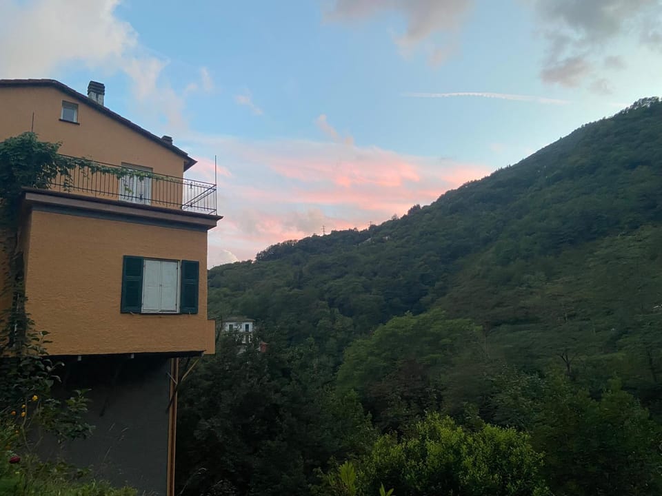 View (from property/room)