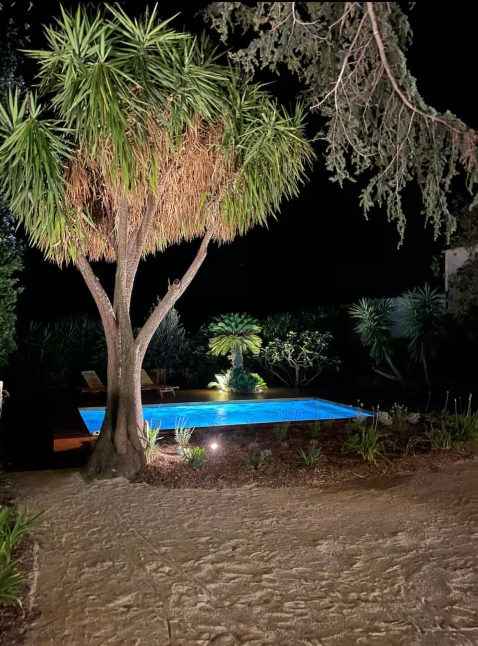 Night, Garden, Garden view, Pool view, Swimming pool