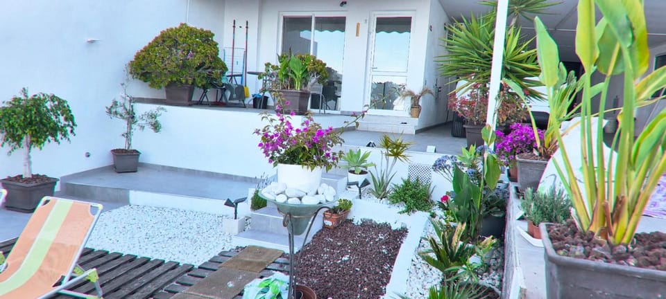 Property building, Day, Garden, Solarium, Garden view