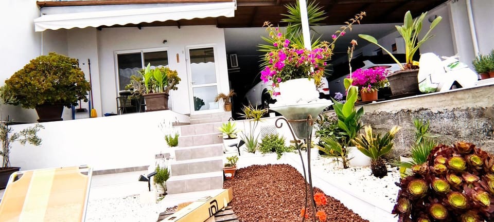Property building, Day, Garden, Garden view