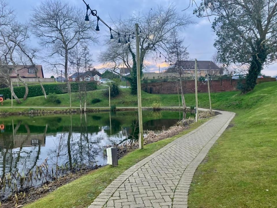 Lake view