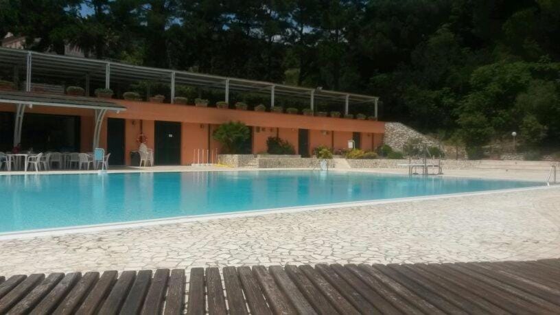 Natural landscape, Pool view, Swimming pool