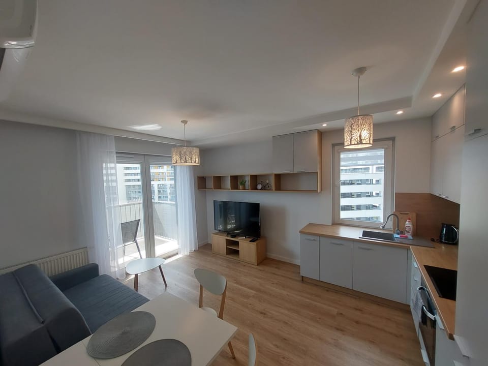 Kitchen or kitchenette, Living room