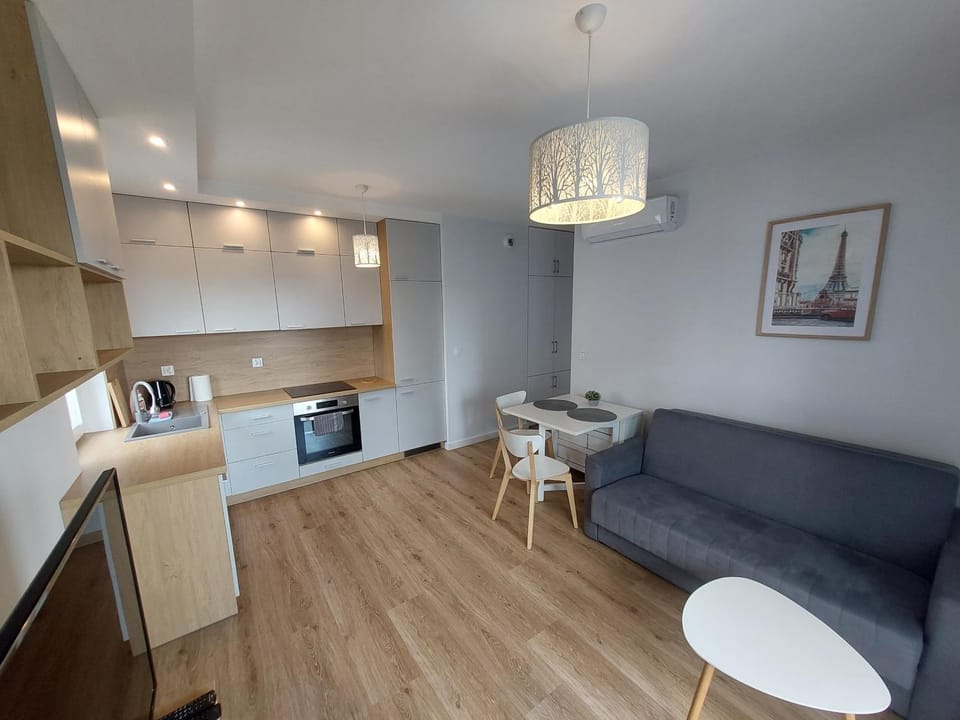Kitchen or kitchenette, Living room, Dining area