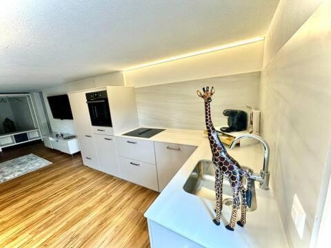 Thunersee Retreat Apartment in Canton of Bern (Region)