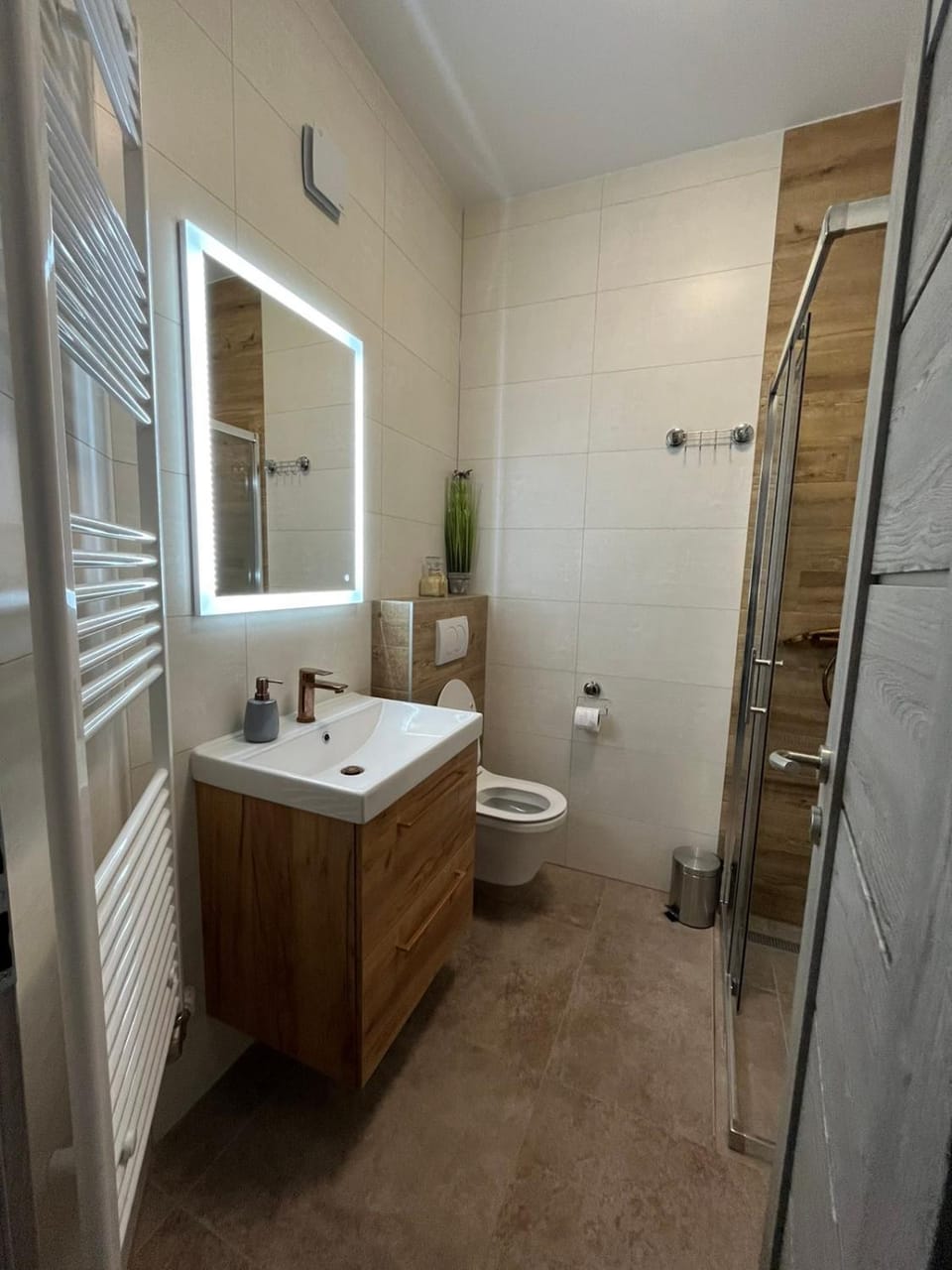 Shower, Toilet, towels