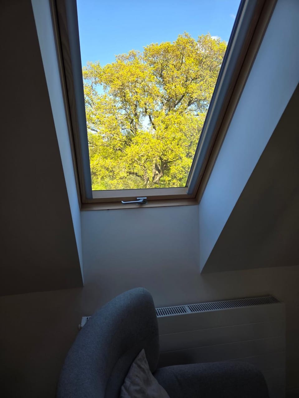 Apartament Pod Orzechem Apartment in Pomeranian Voivodeship