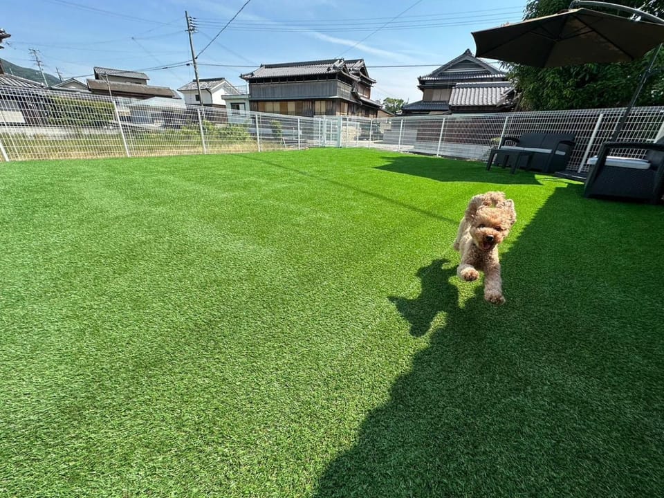 Garden, Pets