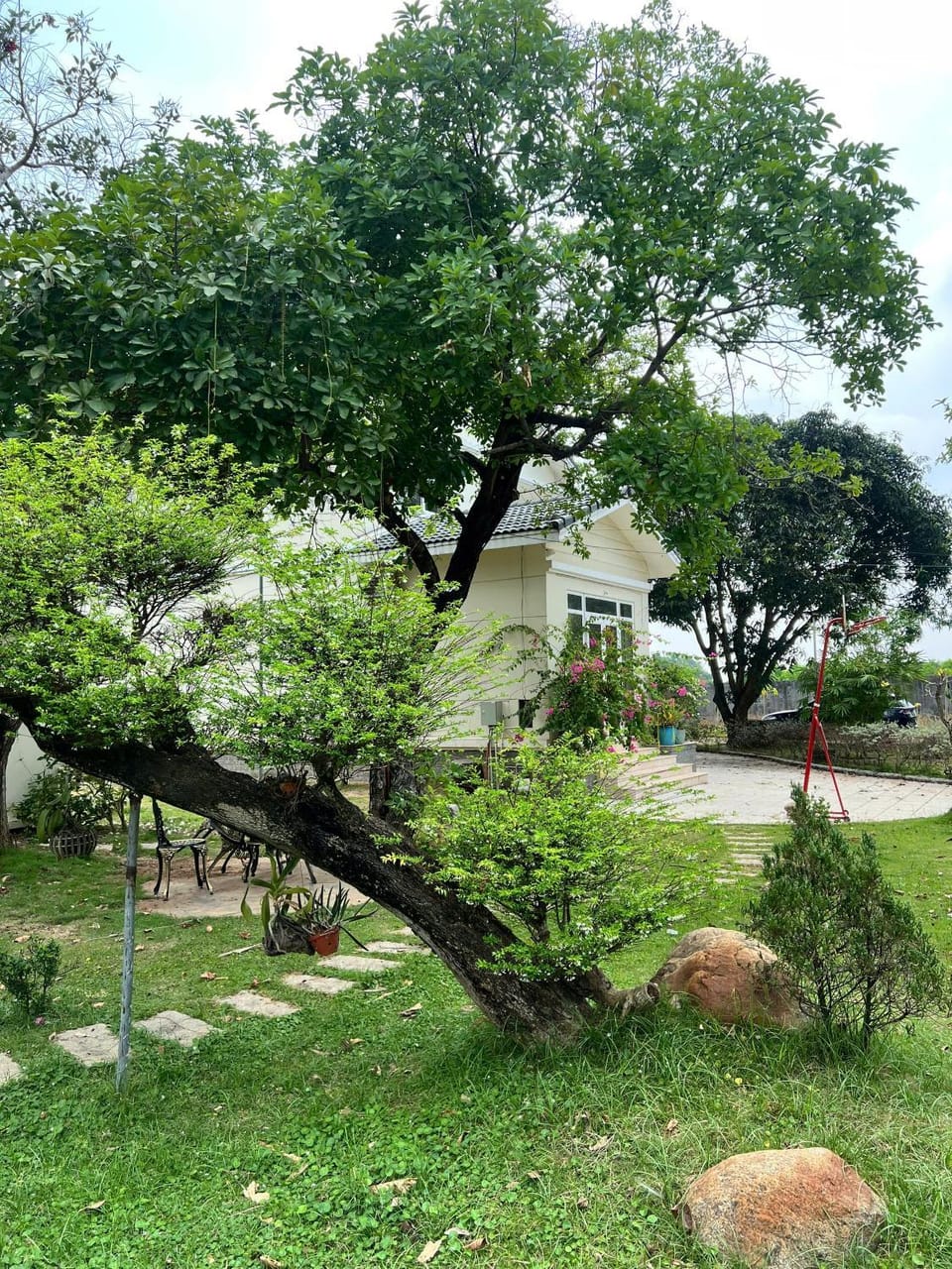 Garden, Garden