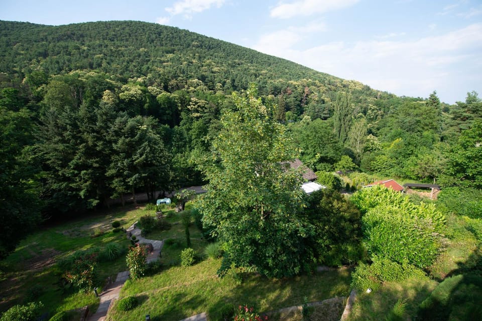 Natural landscape, Balcony/Terrace, Garden view, Mountain view