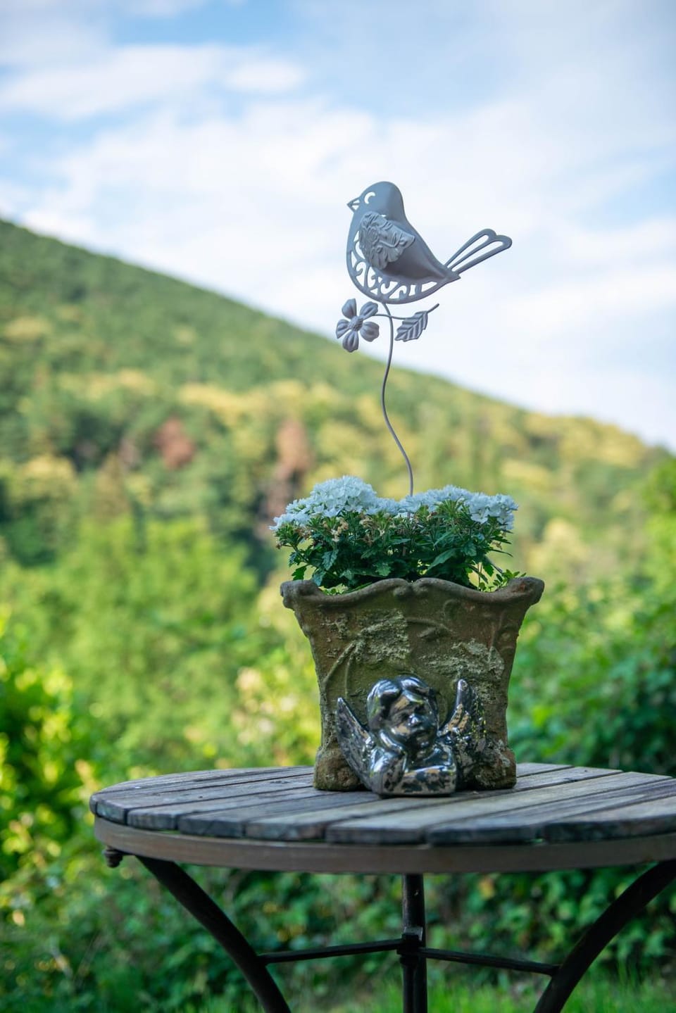 Natural landscape, Garden, Garden view, Mountain view
