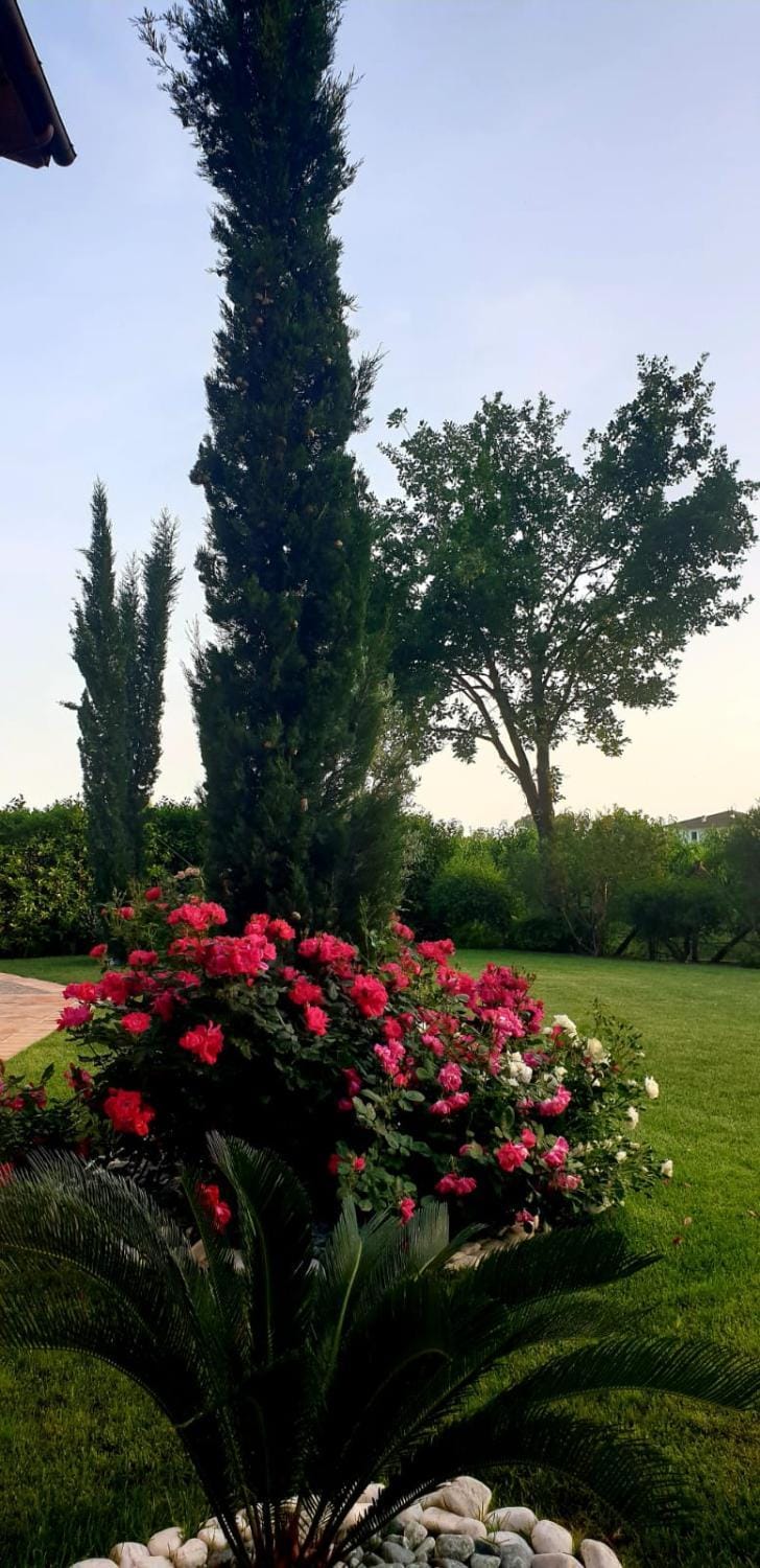 Agriturismo Il Casale Dei Gelsi Farm Stay in Lazio