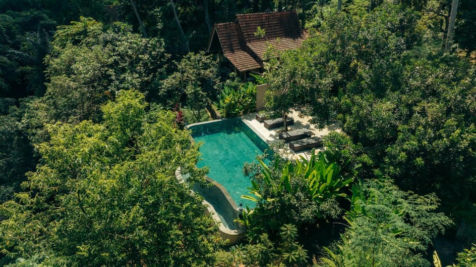 Natural landscape, Bird's eye view, Garden, Swimming pool, Swimming pool