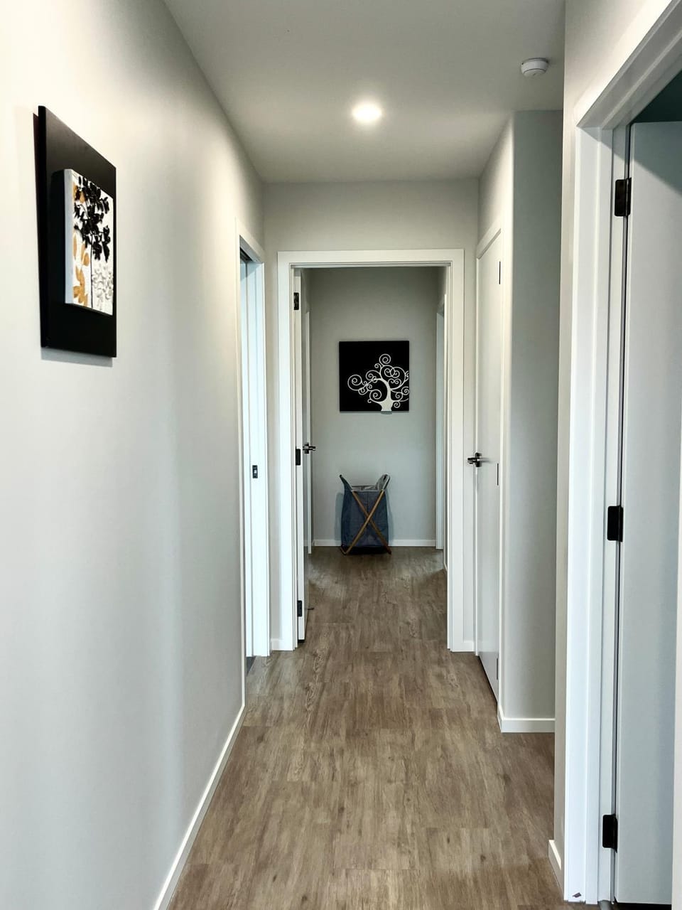 Brand new Lakeside cozy two queen rooms Apartment in Taupo
