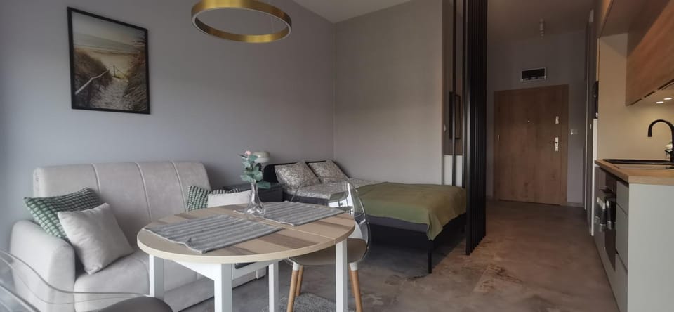 Bed, Living room, Photo of the whole room, Seating area