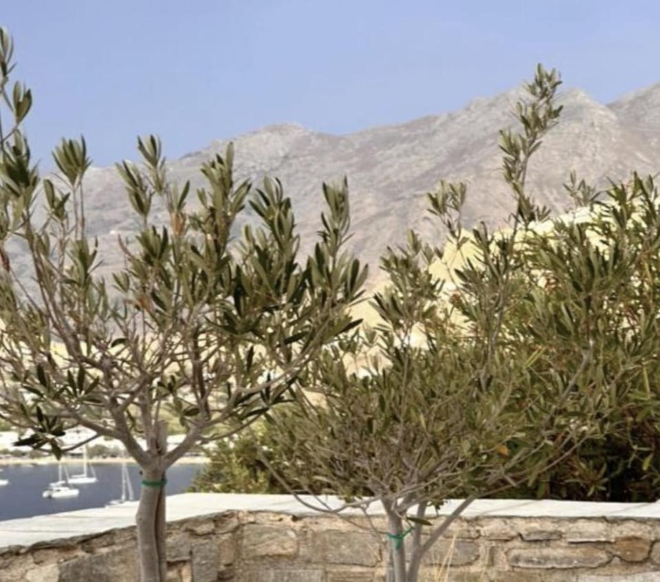 L'oliveraie de Papily Apartment in Milos