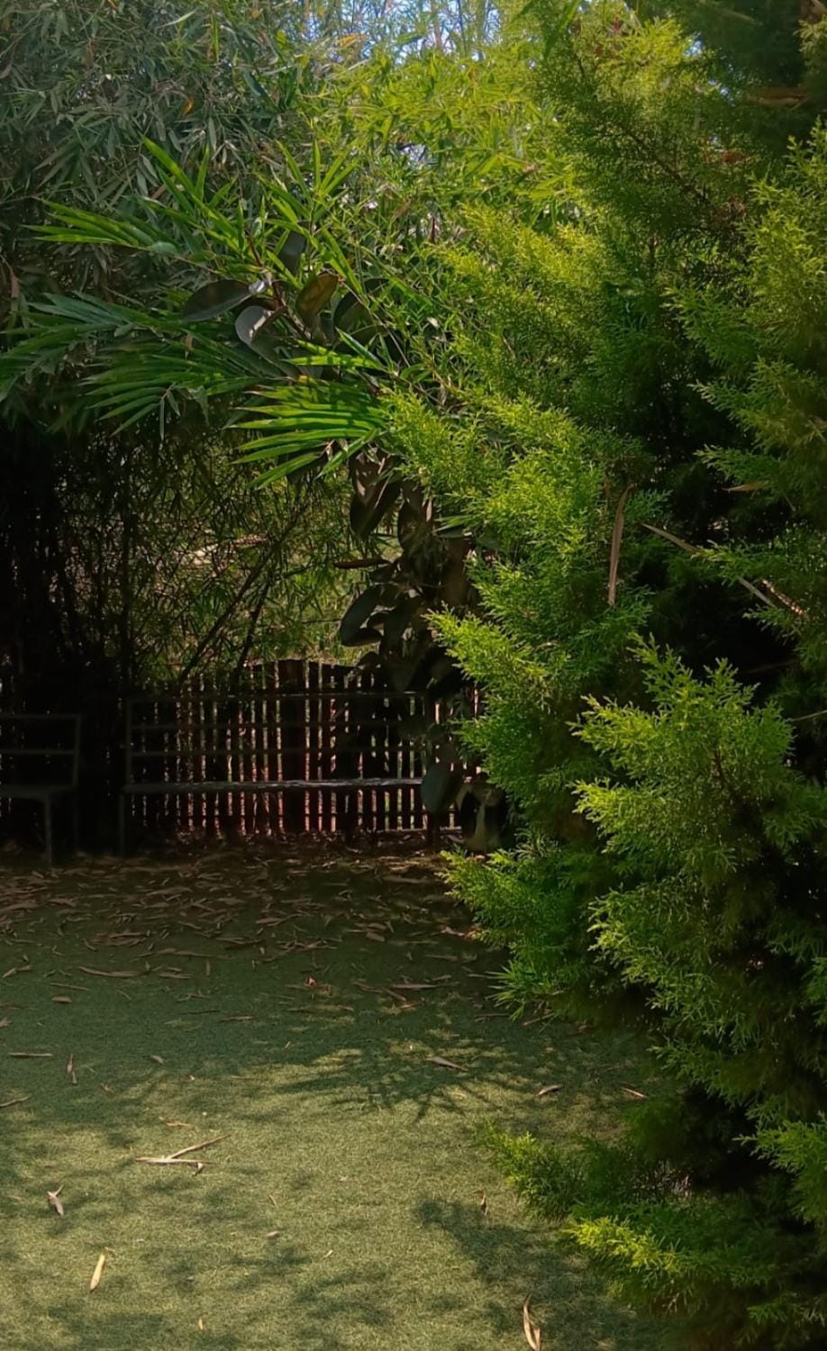 Spring, Natural landscape, Garden view