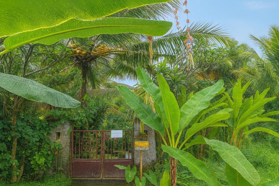 Jungle Hideaway Villas 4 - River Backyard Apartment in Abiansemal