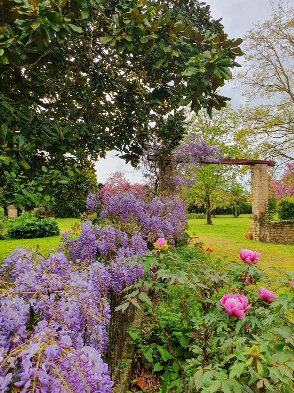 Spring, Garden, Garden view