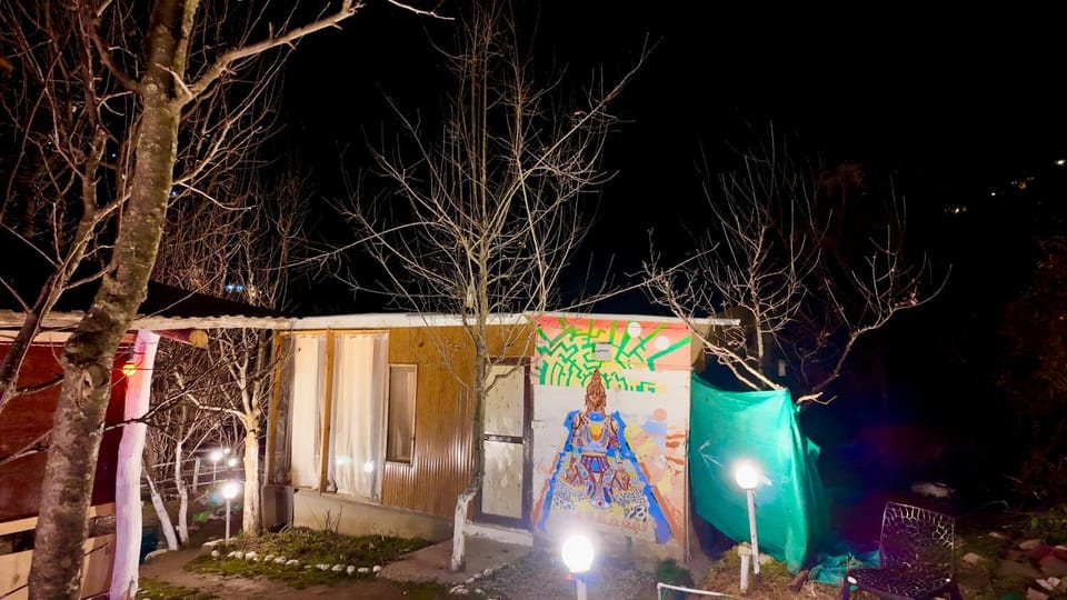 Property building, Night, Natural landscape, Garden