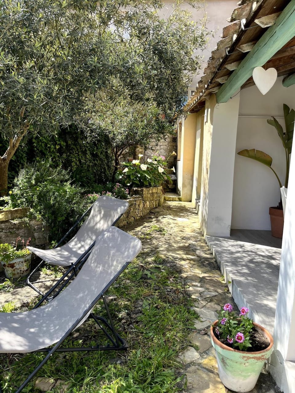 Garden view