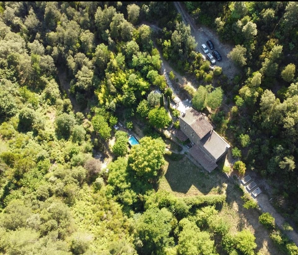 Mas Cévenol, bain nordique, piscine, vue nature House in Occitanie