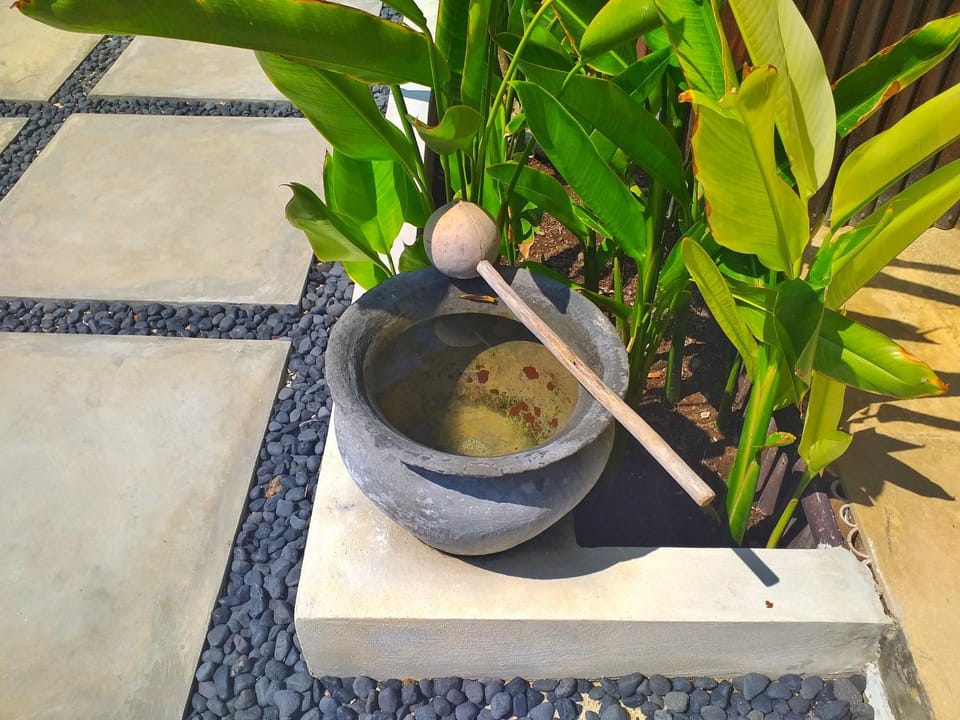 Patio, Garden