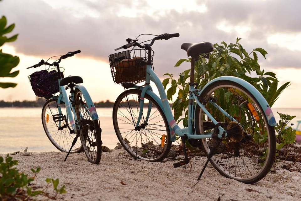 Activities, View (from property/room), Beach, Cycling, Sea view